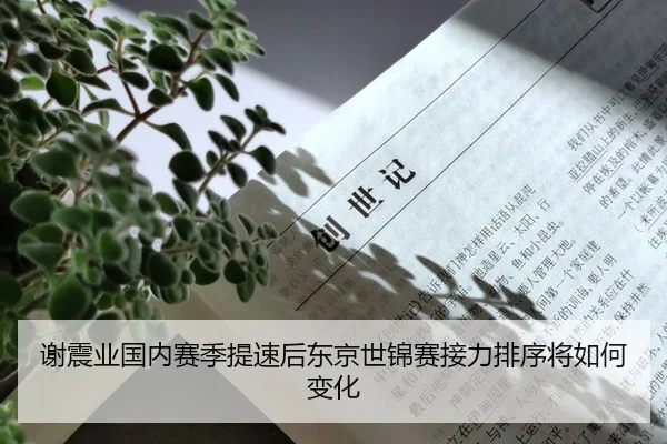 谢震业国内赛季提速后东京世锦赛接力排序将如何变化