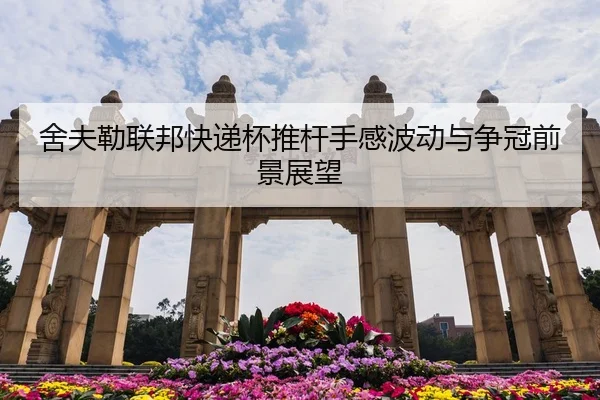 she-fu-lei-lian-bang-kuai-di-bei-tui-gan-shou-gan-bo-dong-yu-zheng-guan-qian-jing-zhan-wang-3-982.jpg