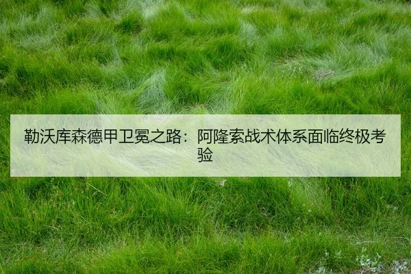 lei-wo-ku-sen-de-jia-wei-mian-zhi-lu-a-long-suo-zhan-shu-ti-xi-mian-lin-zhong-ji-kao-yan-3-678.jpg
