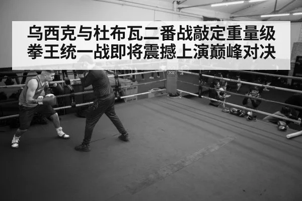 boxer training gym